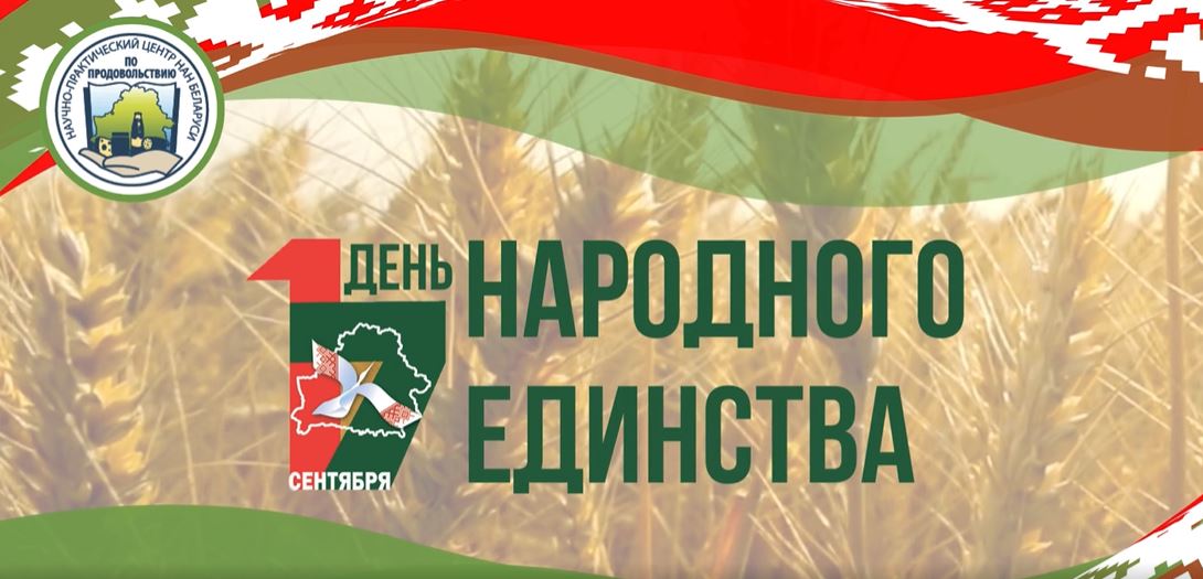 Read more about the article Поздравляем с Днём народного единства!